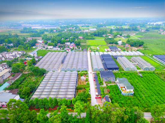 園區視頻安防公司：打造一體化全方位智能安全方案