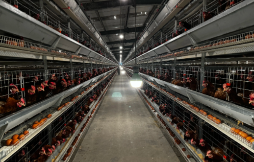 微信圖片_20250930105737_490_32 微信圖片_20250930105737_490_32