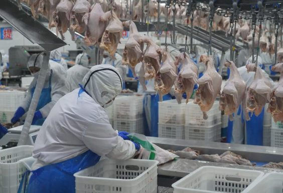 屠宰廠弱電工程解決方案圍繞生產(chǎn)安全、效率提升及管理優(yōu)化